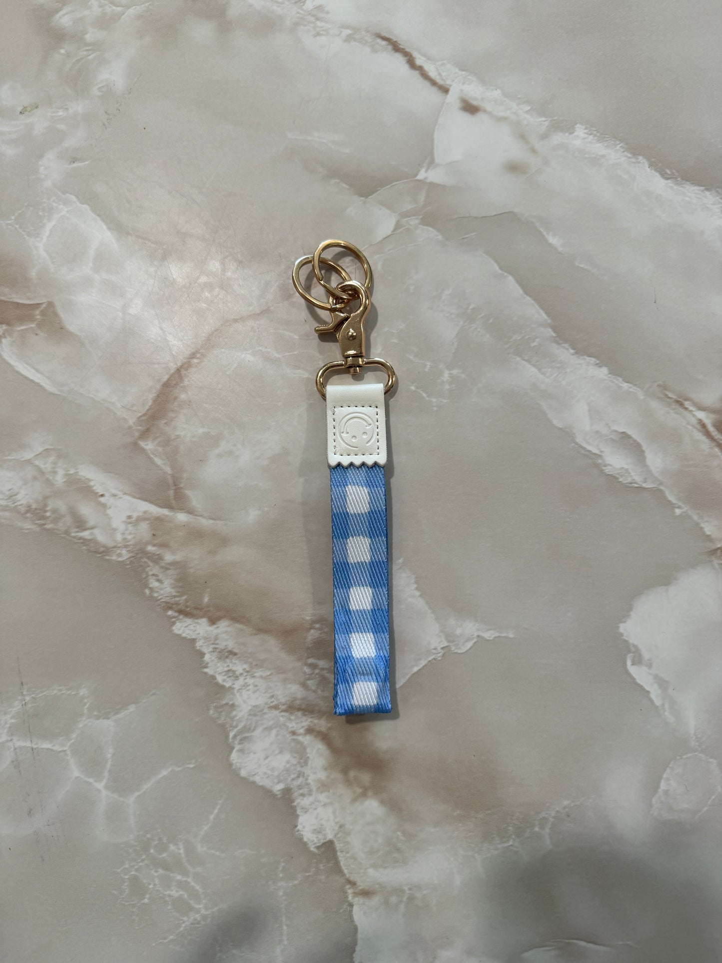 DoBuddy: Blue Gingham